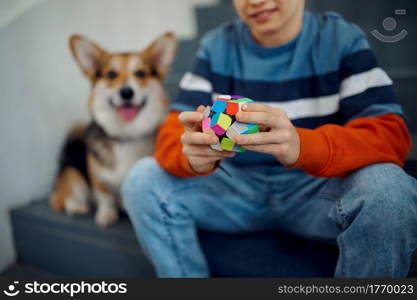 Child and his dog play with puzzle cubes on steps. Toy for brain and logical mind training, creative game, solving of complex problems. Child and his dog play with puzzle cubes on steps