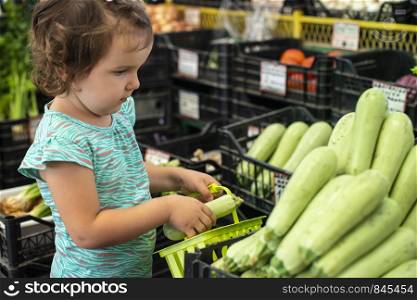 Child collect zucchini in basket. Kid shopping in vegetable market.