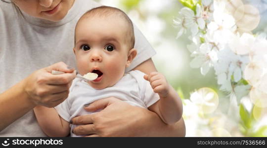 child, eating and food concept - close up of mother with spoon feeding little baby over natural spring cherry blossom background. close up of mother with spoon feeding little baby