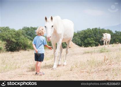 Child greeting grey horse