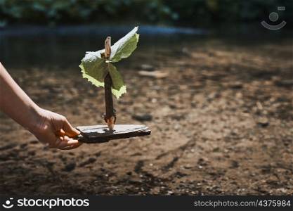 Child hand holding sail boat made with tree bark and green leaf. Playing with handmade toy at river during summer vacation