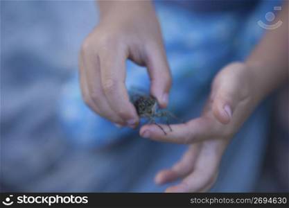 child holding a bug