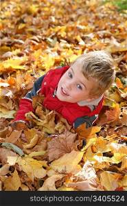 child in maple leaves