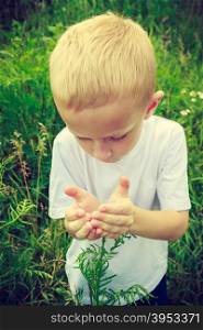 Child kid examining and picking flowers in meadow. Environmental awareness education. Green summer nature.. Child kid picking flowers in meadow. Environment.