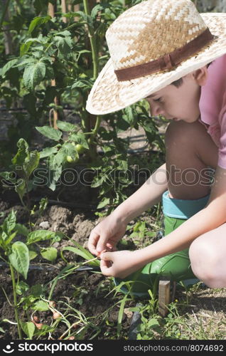 Child planting plans in a garden. Sunlight