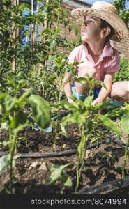 Child planting plans in a garden. Sunlight