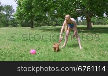 Child playing with her funny american staffordshire terrier puppy dog on grass in summer park