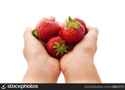 child&rsquo;s hands holding strawberries isolated on white