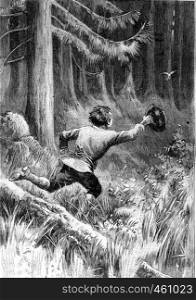 Child running after a bird in the forest. From Jules Verne Cesar Cascabel, vintage engraving, 1890.