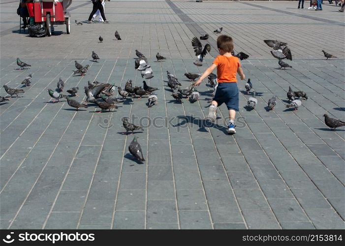 Child running after pigeons. and playing with pigeons birds in city square