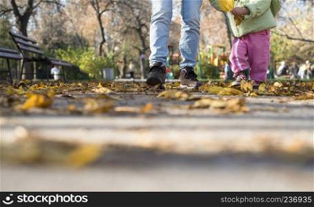 Child walking in the park. Autumn season