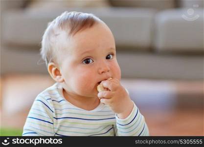 childhood, kids and people concept - baby boy eating rice cracker at home. baby boy eating rice cracker at home