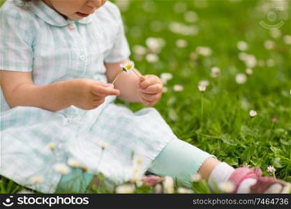 childhood, leisure and people concept - happy little baby girl playing with flowers at park in summer. happy little girl at park in summer