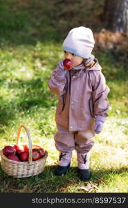 childhood, leisure and picking season concept - little baby girl with basket eating apple in autumn park. little baby girl with basket of apples at park