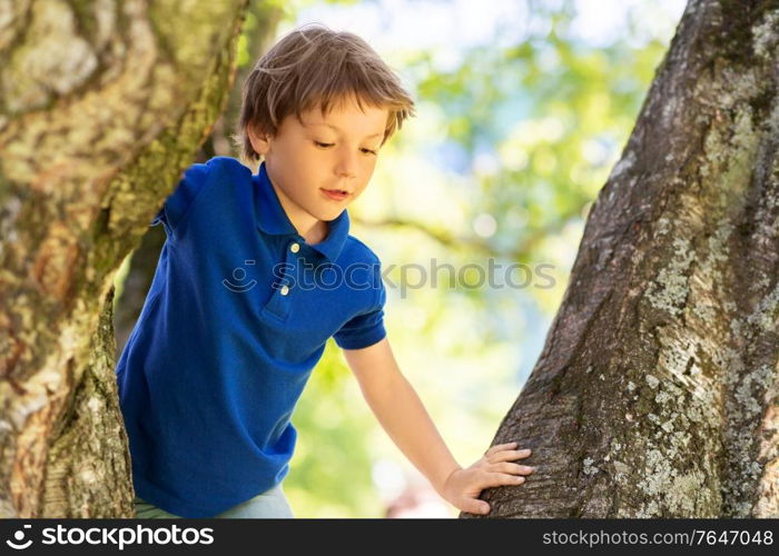 childhood, leisure games and people concept - happy little boy climbing tree at summer park. happy little boy climbing tree at park