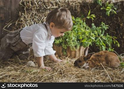 Children and animals are friends.. The boy plays with the animals in the manger 6052.