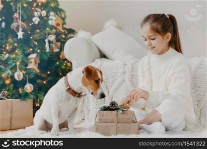 Children, animals and winter holidays concept. Charming little European girl unpacks gift box, poses on floor together with pedigree puppy, prepare for New Year and Christmas celebration. Festive time