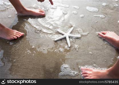 Children Discovering Starfish On Beach