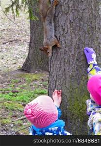 children feeding a squirrel. children fed peanuts little red-haired squirrel sitting on the tree