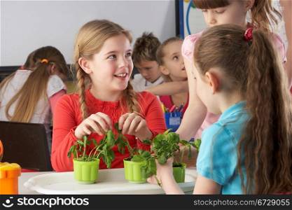 Children learning about plants in school class