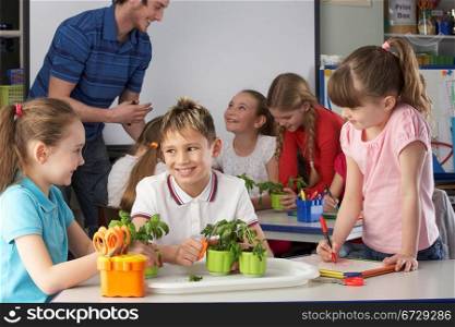 Children learning about plants in school class