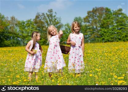 Children on an Easter Egg hunt on a meadow in spring still looking clueless