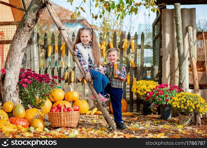 Children pick ripe vegetables and fruits on the farm in autumn. The concept of the autumn harvest on the farm.. Children pick ripe vegetables and fruits on the farm in autumn.
