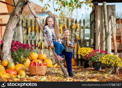 Children pick ripe vegetables and fruits on the farm in autumn. The concept of the autumn harvest on the farm.. Children pick ripe vegetables and fruits on the farm in autumn.