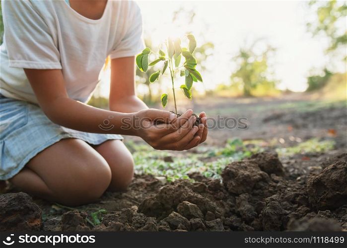children planting young tree on soil in garden in morning light