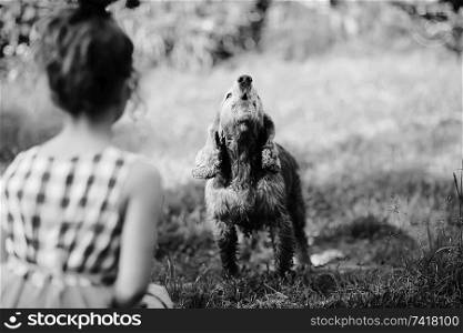 children playing with a dog / girls stroking a dog, spaniel, friendship pets, fun in the summer, family