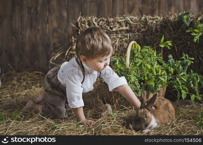 Children playing with animals.. Photosession of children with rabbits 6059.