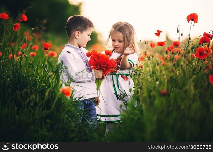 Children&rsquo;s love, a little boy and a girl, amicably spend time, laugh and smile, and kiss in the flowering field of poppies.. Children&rsquo;s love, a little boy and a girl, amicably spend time, laugh and smile, and kiss in the flowering field of poppies