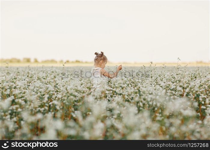 children&rsquo;s portrait of a girl. beautiful girl in a flowering field. children&rsquo;s portrait of a girl. beautiful girl in a flowering field. Young girl play in spring dandelion field