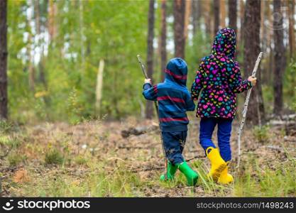 Children walk in the forest with canes. Mushroom picking in the forest.. Children walk in the forest with canes.