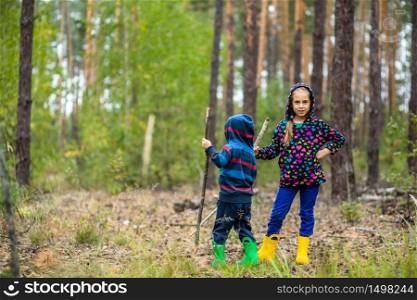 Children walk in the forest with canes. Mushroom picking in the forest.. Children walk in the forest with canes.