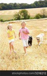 Children With Dogs Running Through Summer Harvested Field