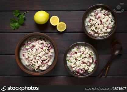 Chilean Ceviche made of Southern Ray&rsquo;s bream fish (lat. Brama Australis, Spanish Reineta), onion, garlic and cilantro marinated in lemon juice served in rustic bowls. Photographed overhead on dark wood with natural light.