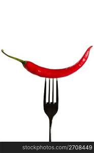 chili on a fork. one red chili on a fork on white background