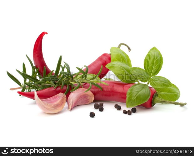 Chili pepper and flavoring herbs isolated on white background