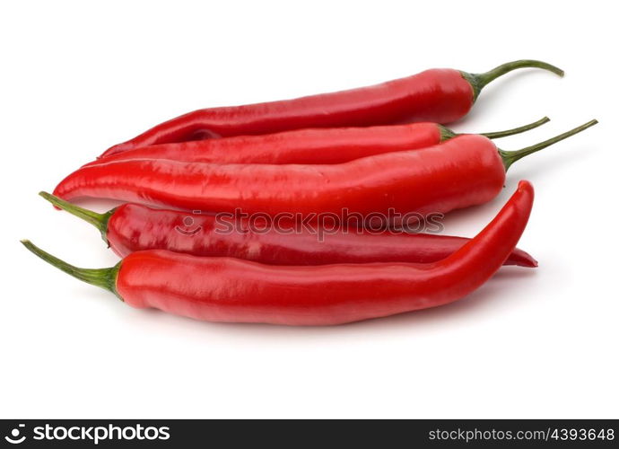 Chili pepper isolated on white background