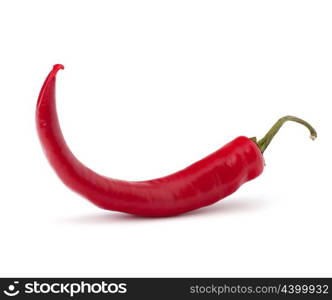 Chili pepper isolated on white background