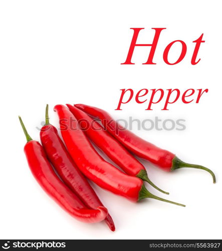 Chili pepper isolated on white background