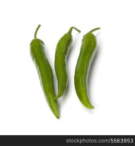 Chili pepper isolated on white background
