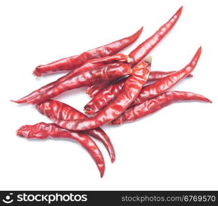 chili pepper isolated on white background