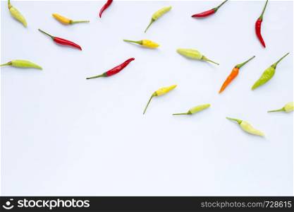 Chili peppers on white background. Copy space