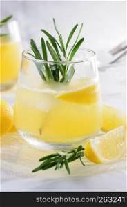 Chilled cocktail of vodka and tonic with the addition of freshly squeezed lemon juice