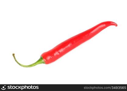 chilli pepper isolated on white background