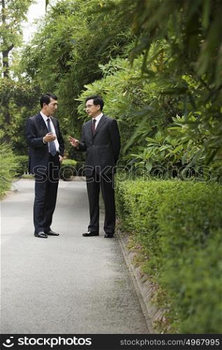 Chinese businessmen in a park