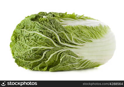 Chinese cabbage