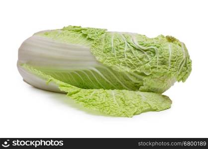 Chinese cabbage closeup on a white background
